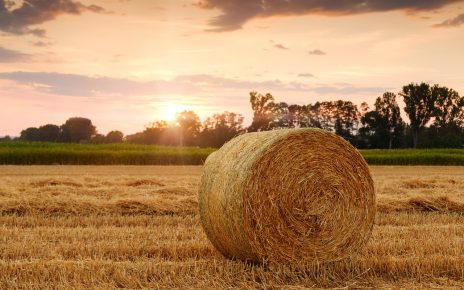 Rolnictwo ekologiczne i maszyny rolnicze